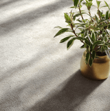 Nightingale Soft Twist Carpet