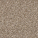 Euphoria Saxony Carpet