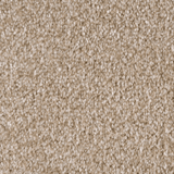 Oxford Saxony Carpet