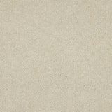 Euphoria Saxony Carpet