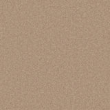 Philco Heavyweight Wool Carpet