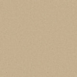 Philco Heavyweight Wool Carpet