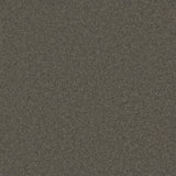 Philco Heavyweight Wool Carpet