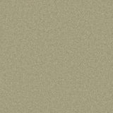 Philco Heavyweight Wool Carpet