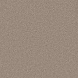 Philco Heavyweight Wool Carpet