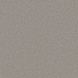 Philco Heavyweight Wool Carpet