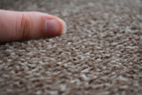 Romeo Twist Carpet