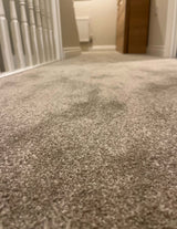 Richmond Twist Carpet