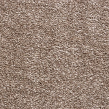 Richmond Twist Carpet