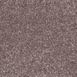 Salem Soft Touch Carpet