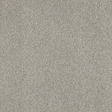 Euphoria Saxony Carpet