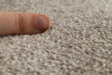 Trident Saxony Carpet
