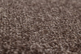 Trident Saxony Carpet