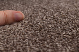 Trident Saxony Carpet