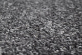 Trident Saxony Carpet