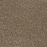 Temperament Carpet