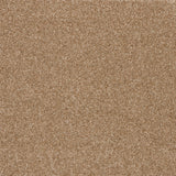 Timeless Elegance Elite Carpet