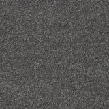 Timeless Elegance Elite Carpet