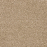 Timeless Elegance Elite Carpet