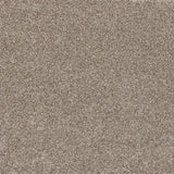 Timeless Elegance Elite Carpet