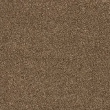 Timeless Elegance Elite Carpet