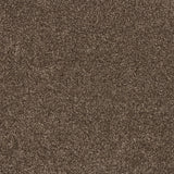 Timeless Elegance Elite Carpet