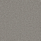 Trident Heathers Carpet