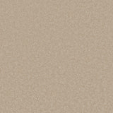 Trident Plains Carpet