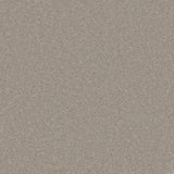 Trident Plains Carpet