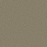 Trident Plains Carpet