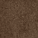 Tucson Twist Carpet