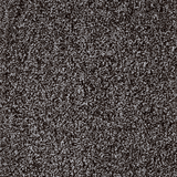 Tucson Twist Carpet