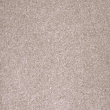 Tucson Twist Carpet