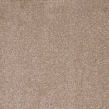 Tucson Twist Carpet