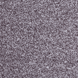 Tulsa Dense Twist Carpet