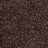 Tulsa Dense Twist Carpet