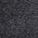 Tulsa Dense Twist Carpet