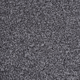 Tulsa Dense Twist Carpet