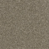 Twisty Touch Carpet