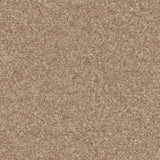 Twisty Touch Carpet