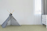 Juliet Soft Twist Carpet