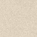 Malibu Plush Polyester Carpet