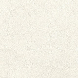 Malibu Plush Polyester Carpet
