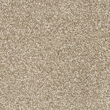 Malibu Plush Polyester Carpet