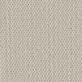 Primo Textures Weave Carpet